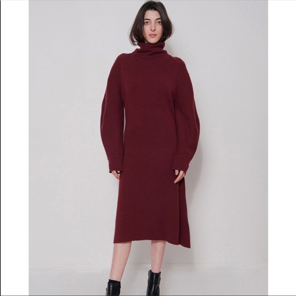 Frankie shop NYC burgundy turtleneck knit dress